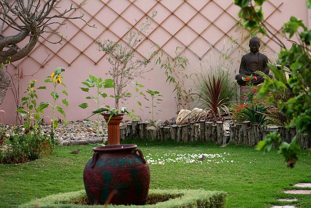 buddha_garden