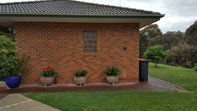 23561822_1502920476460011_8540255439436974312_n